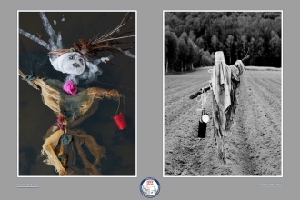 Kolory młodości - wystawa gościnna w MBP